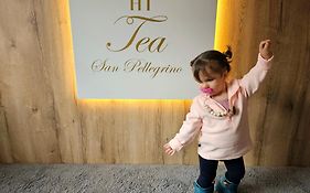 Tea San Pellegrino - Dolomiti